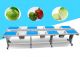 รางตรวจเช็คผัก คัดแยก เตรียม JY-8T vegetable sorting table manual