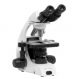 กล้องจุลทรรศน์ Microscope รุ่น MCX51 MICROS ส่องดูรายละเอียดชัดเจน 40x-1000x เหมาะสำหรับการศึกษาและวิจัยทางวิทยาศาสตร์