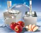 เครื่องคว้านแกนผลไม้ เฉพาะ ผ่าซีก แอปเปิ้ล สาลี่ stainless steel fruit core cutting machine 70（kg） 2.2（kw）