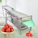 เครื่องแยกผลไม้ตามไซส์ ผลิตตามขนาดผลไม้ Fruit Size Sorting Machine รุุ่น ST-GD29 กำลังการทำงาน 500 กิโลกรัมต่อชั่วโมง
