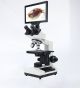 กล้องจุลทรรศน์ชีววิทยาแบบสามตา รุ่น BS107 Professional Laboratory Microscope เลนส์ 195 Achromatic พร้อมรองรับกล้องดิจิทัล