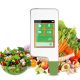 เครื่องวัดไนเตรทในผัก Greentest 2 Fruits and Meat Nitrate Detector