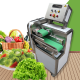 เครื่องหั่นสไลด์ผัก ผลไม้กำลังสูง แบบสายพาน Electric Vegetable Slicing and Cutting Machine รุ่น LV-609L