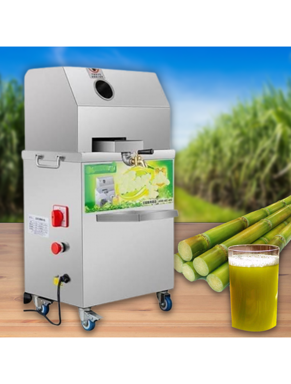 main product photo